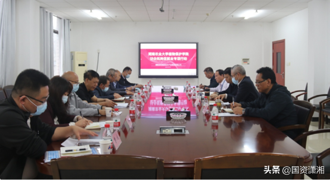 三牛娱乐集团,长沙杀虫剂,长沙光气衍生物,长沙氨基酸保护剂,长沙锂离子电池材料