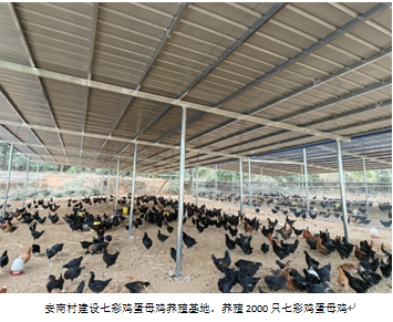 三牛娱乐集团,长沙杀虫剂,长沙光气衍生物,长沙氨基酸保护剂,长沙锂离子电池材料