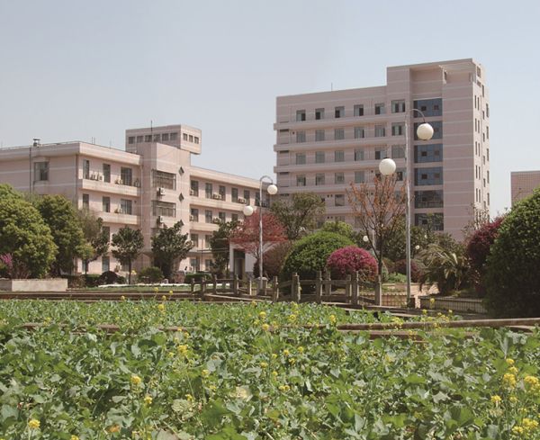 三牛娱乐集团,长沙杀虫剂,长沙光气衍生物,长沙氨基酸保护剂,长沙锂离子电池材料