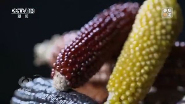 三牛娱乐集团,长沙杀虫剂,长沙光气衍生物,长沙氨基酸保护剂,长沙锂离子电池材料