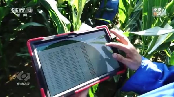 三牛娱乐集团,长沙杀虫剂,长沙光气衍生物,长沙氨基酸保护剂,长沙锂离子电池材料