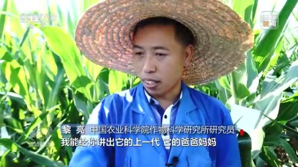 三牛娱乐集团,长沙杀虫剂,长沙光气衍生物,长沙氨基酸保护剂,长沙锂离子电池材料
