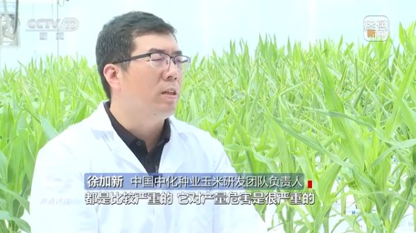 三牛娱乐集团,长沙杀虫剂,长沙光气衍生物,长沙氨基酸保护剂,长沙锂离子电池材料